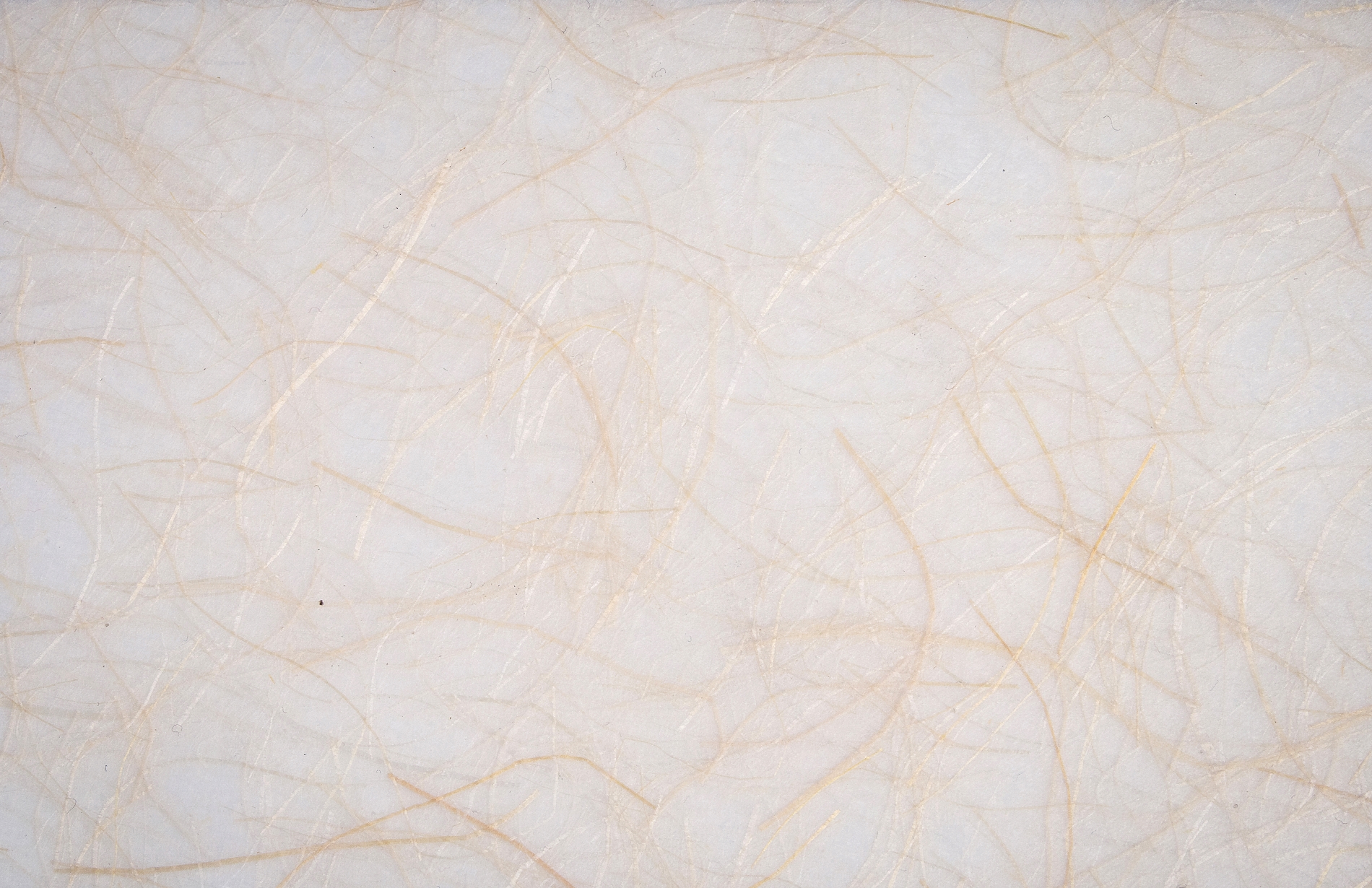 NUOVE LAVABILI IN ARRIVO DAL GIAPPONE NELLA SECONDA META' DI APRILE 2026